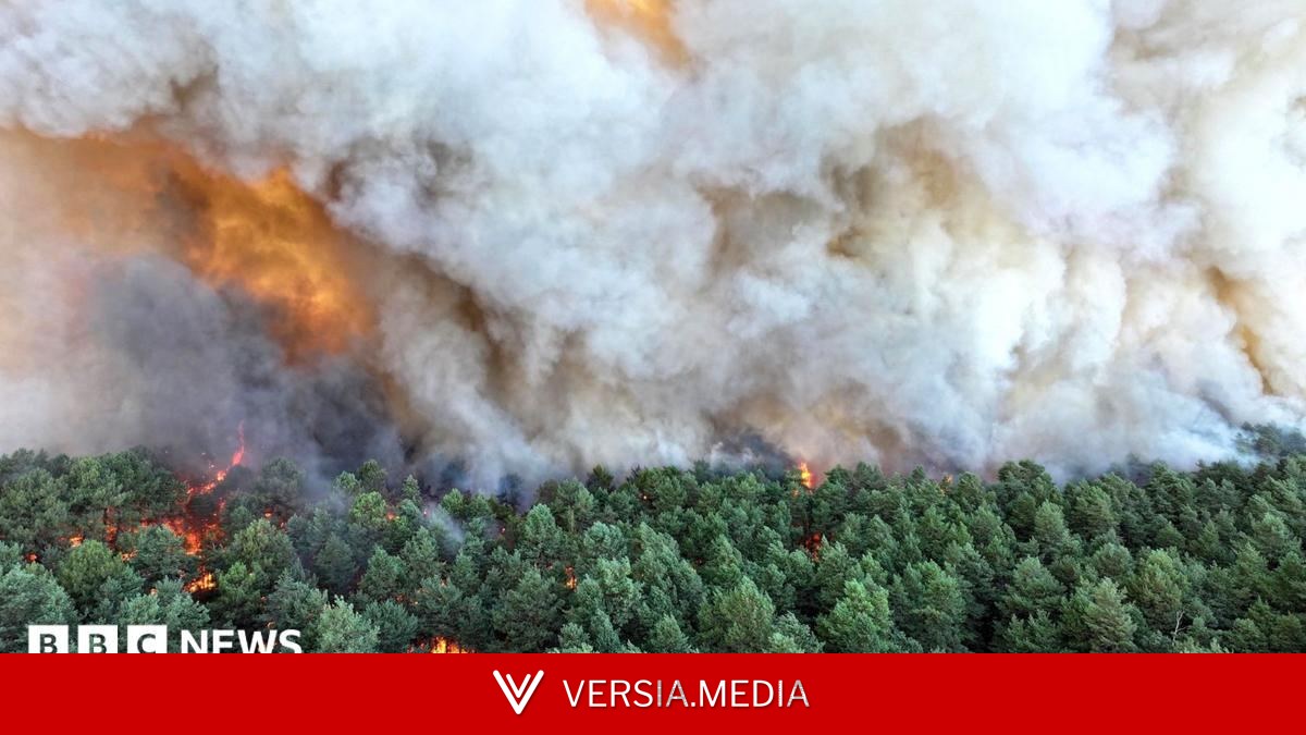 Planes sent to tackle wildfires of 'exceptional scale' near Paris