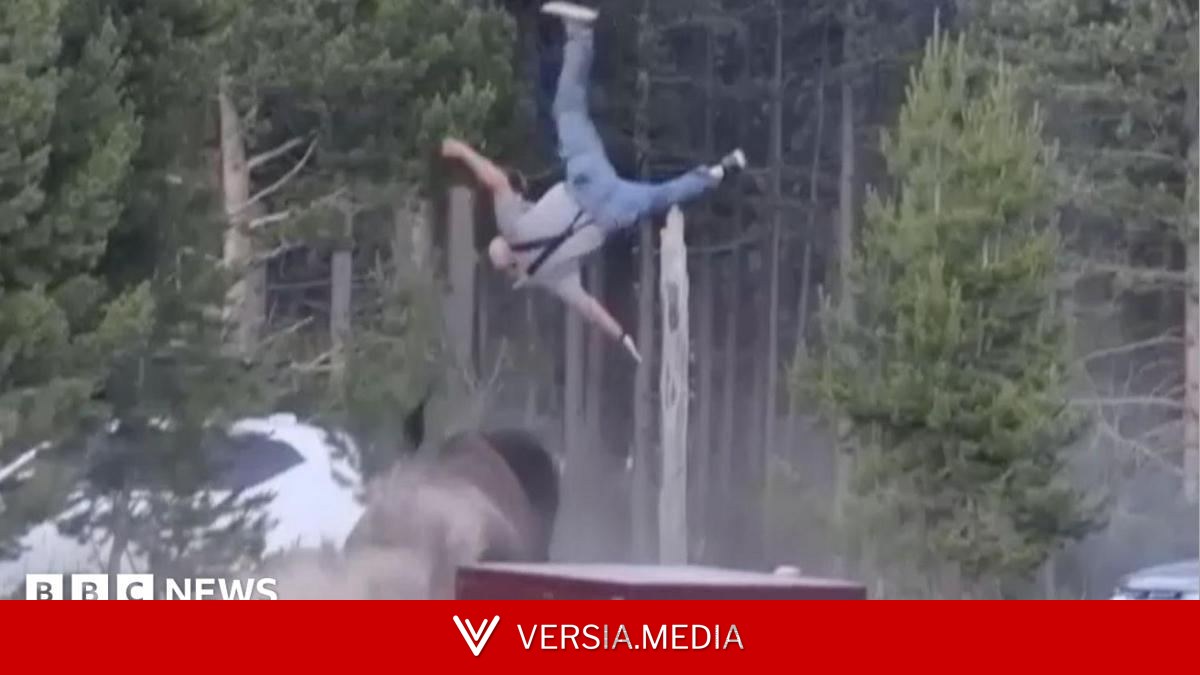 Bison rams grandfather in Yellowstone Park, knocking him metres into the air