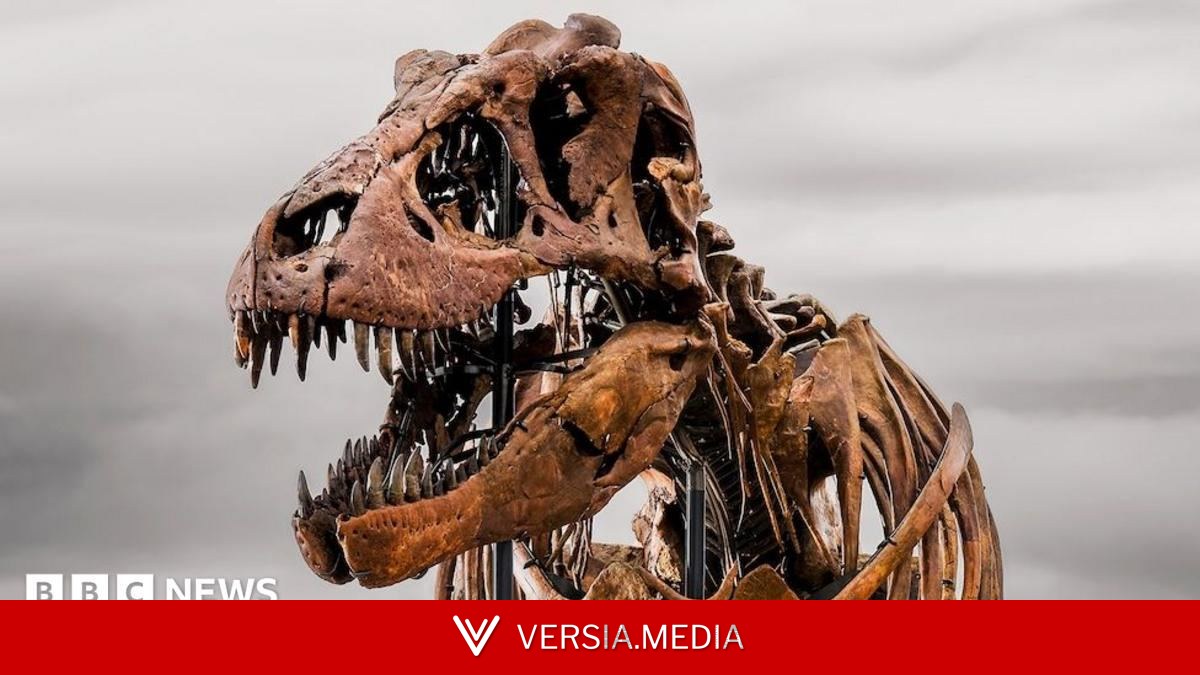 Weekly quiz: What name did scientists give this $50m dinosaur?