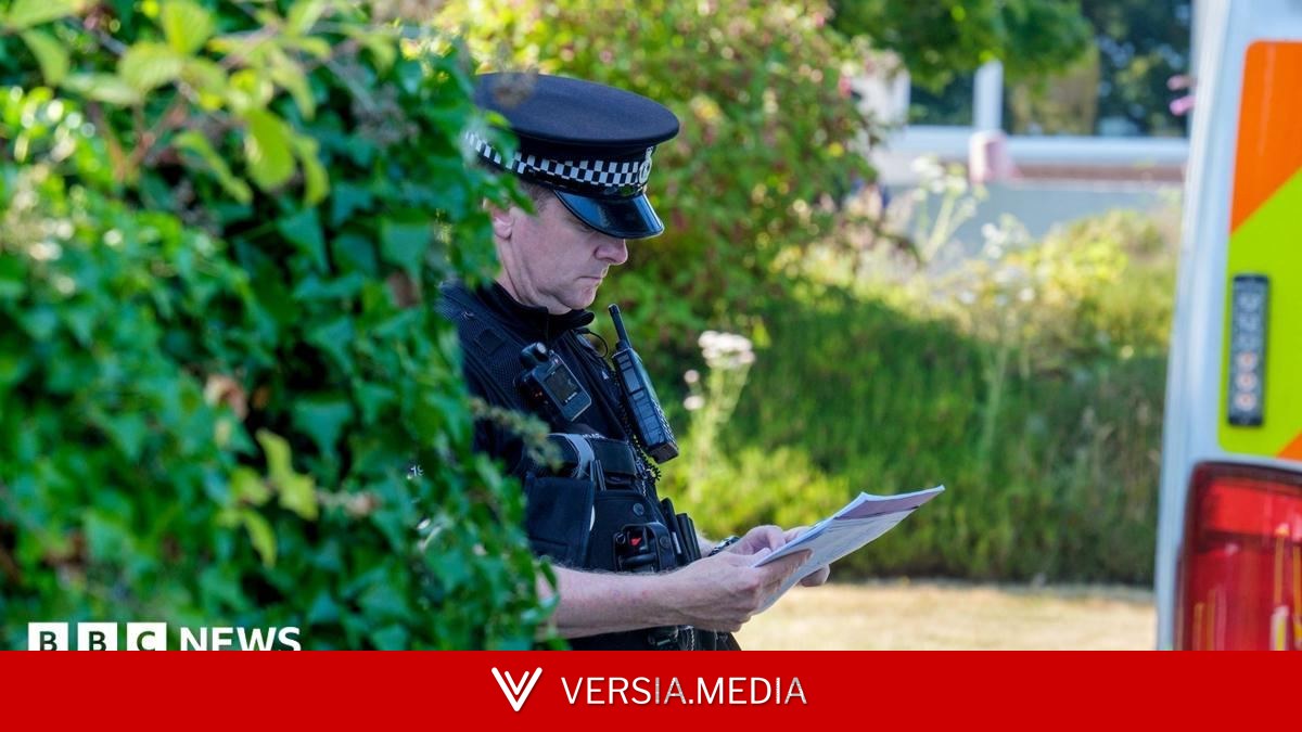 Ann Widdecombe murder probe: What we know so far