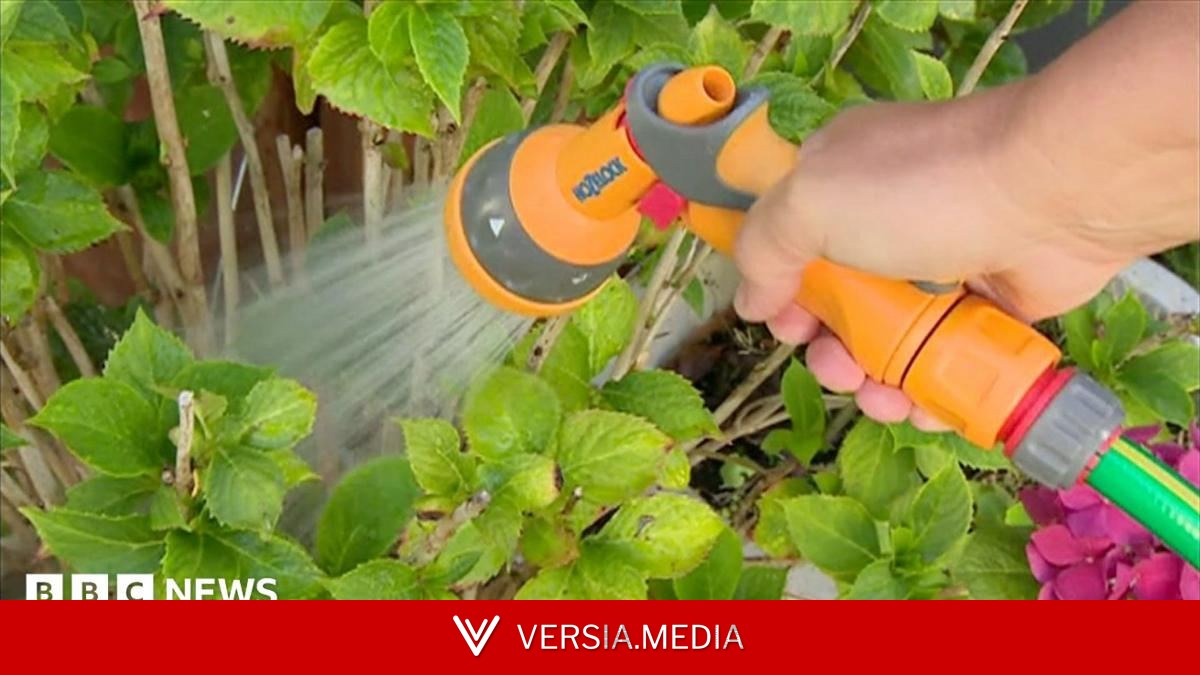 Hosepipe ban for Hampshire and Isle of Wight