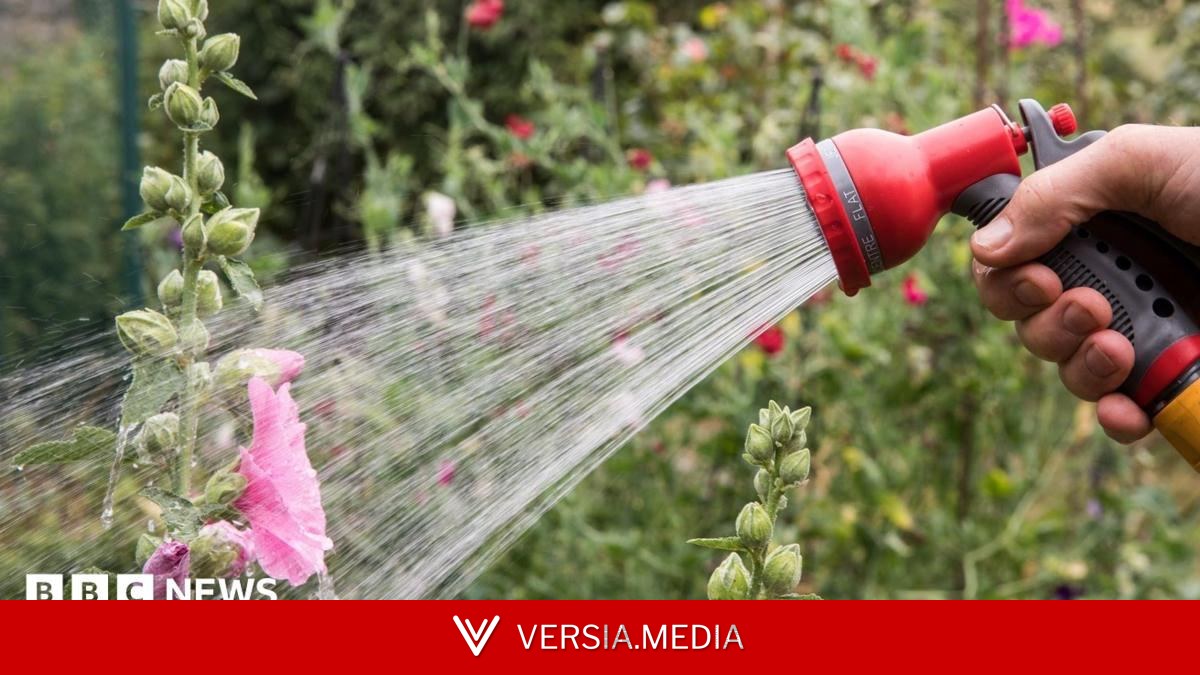 Hosepipe ban in force for millions of households - is your area affected?