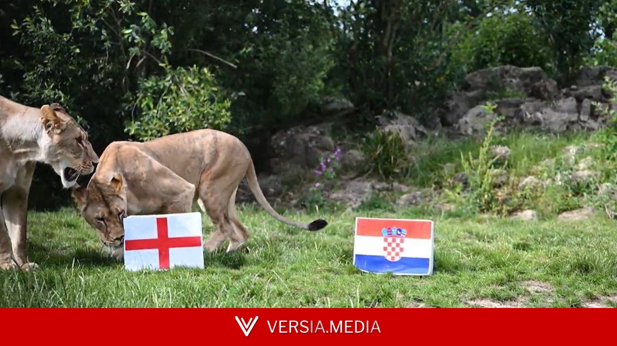 England get huge boost in Croatia clash as they'll be roared on by actual lions
