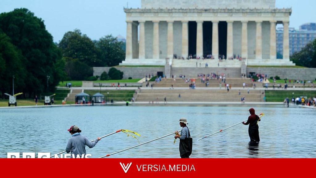 Former Olympian denies vandalising Washington Reflecting Pool after arrest