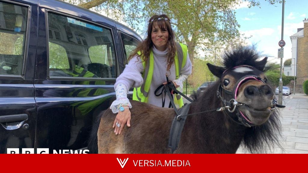 'He's a life saver': The miniature therapy horse that travels by taxi