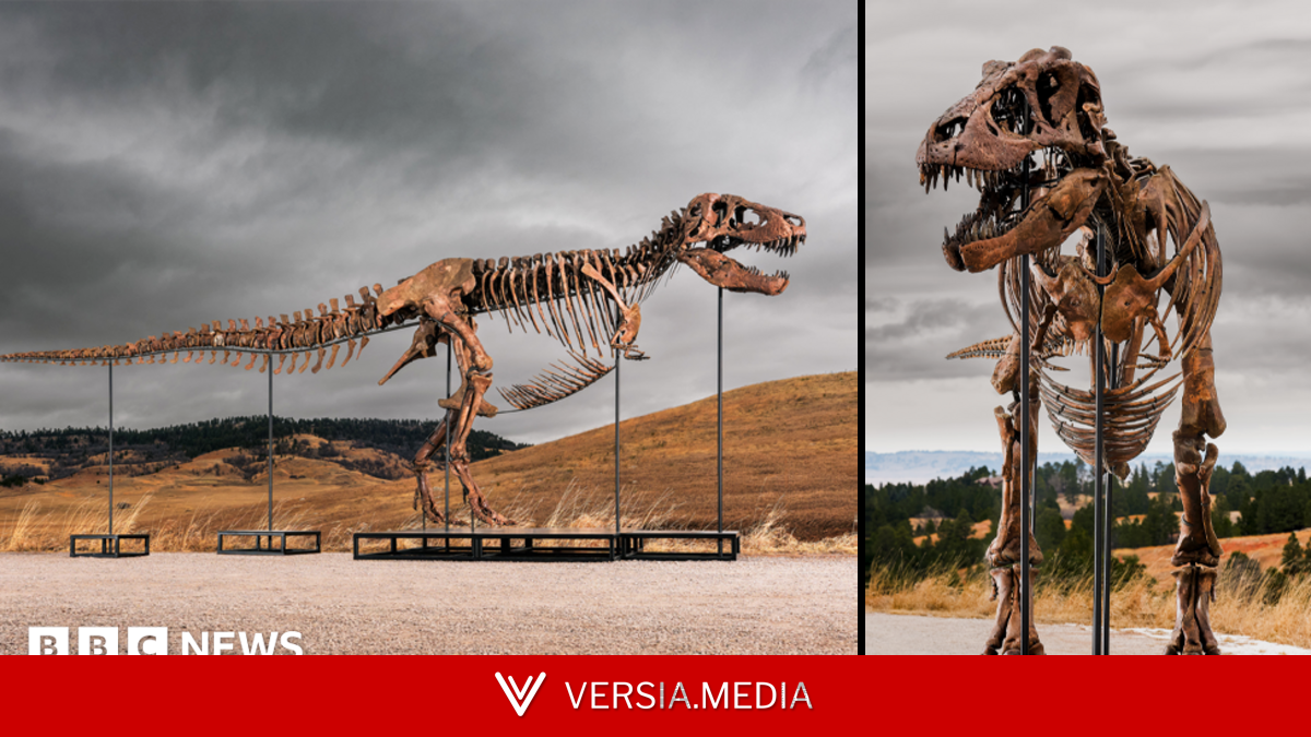 Tyrannosaurus rex most expensive dinosaur ever sold