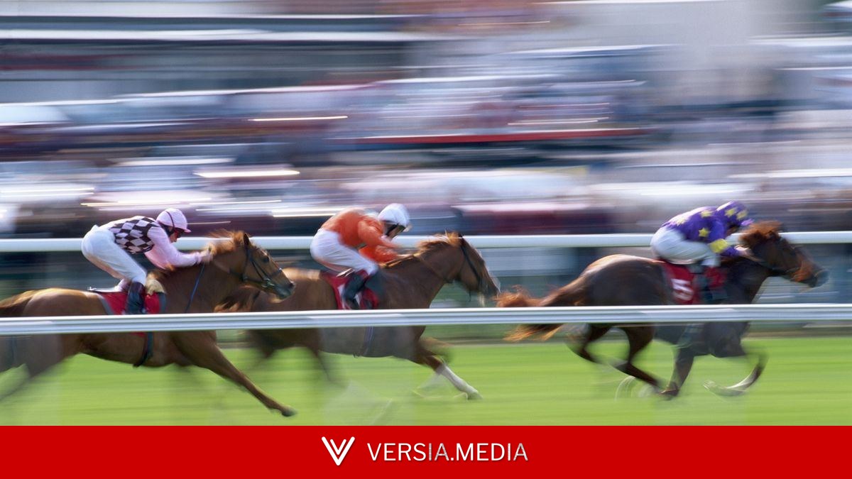 Celebrate the 2026 Newmarket Festival with a FREE William Hill shop bet inside your Daily Star this Friday & Saturday.