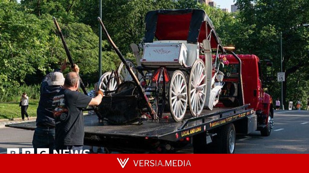 Teenager dies in horse-drawn carriage accident in New York