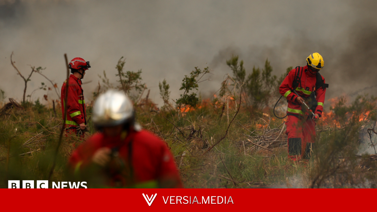 Firefighters battle wildfire as tens of thousands evacuated near Bordeaux