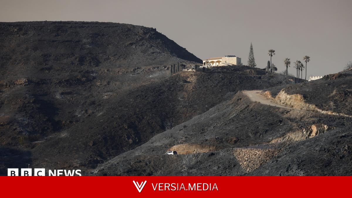 Seven Britons among those killed in Spain wildfires