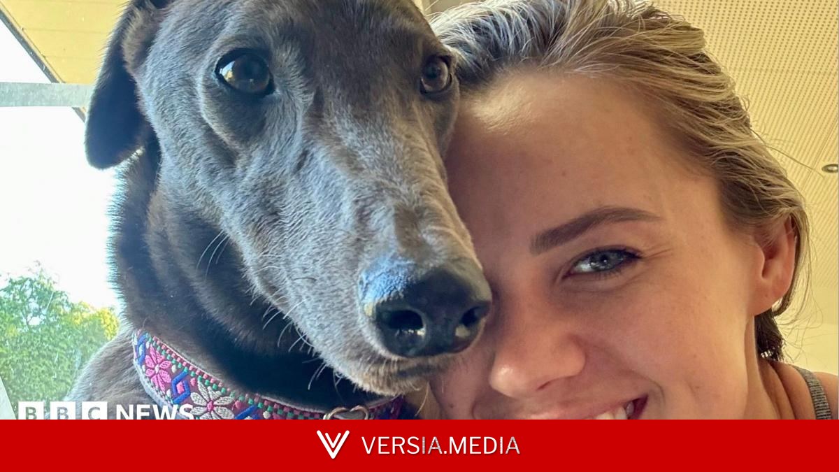 Greyhound who refuses to race finds new home in US