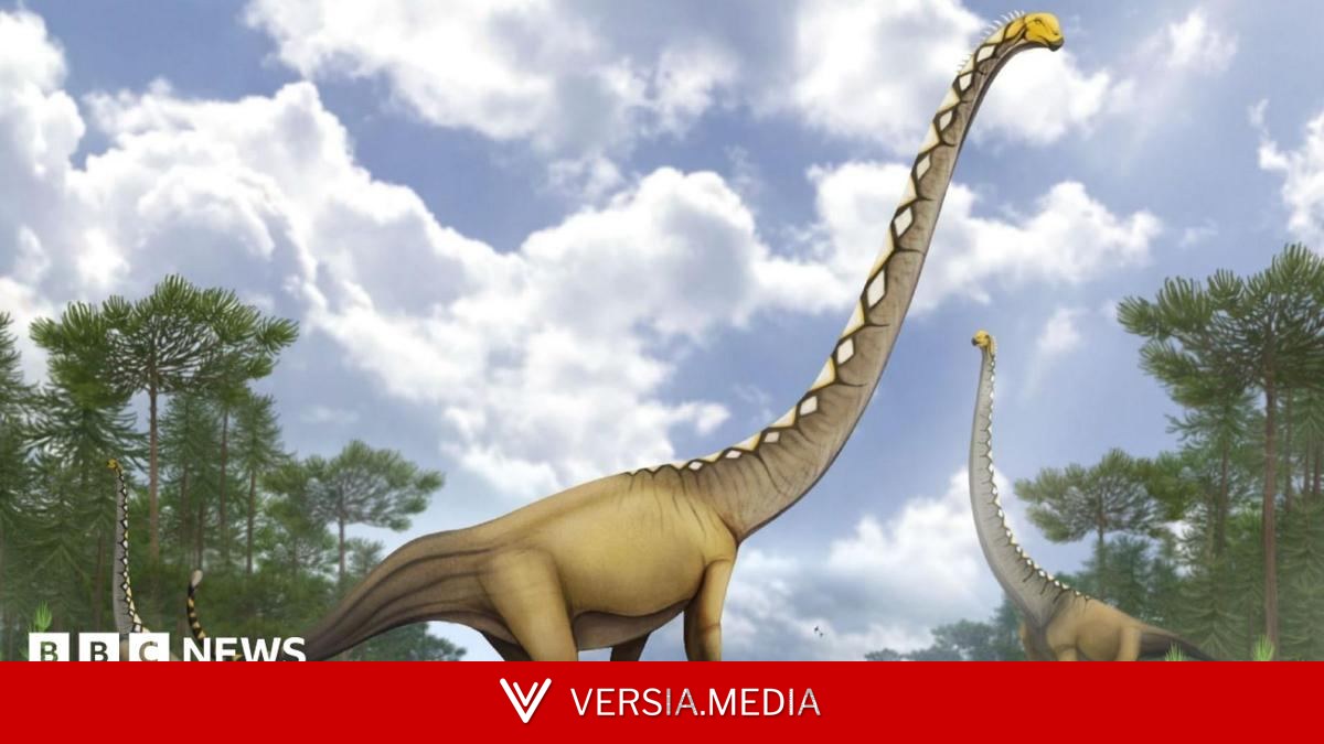 New dinosaur species with neck as long as cricket pitch discovered in Thailand